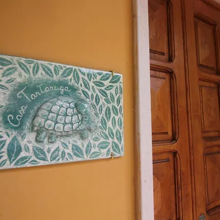 Casa Tartaruga
